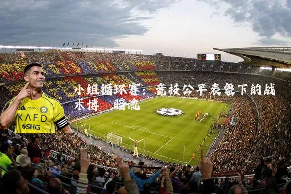小组循环赛:竞技公平表象下的战术博弈暗流